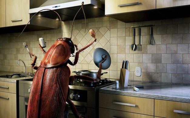 обработка от тараканов в Новосибирске